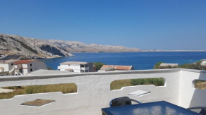 The Peaceful Vacation, Metajna